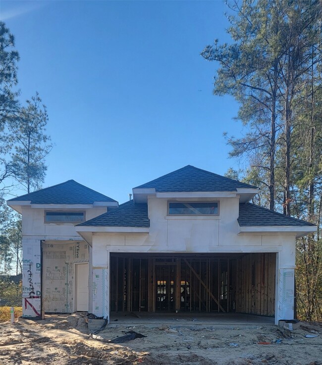 17270 Wild Watermelon Way, Woodloch, TX 77302 - photo 2