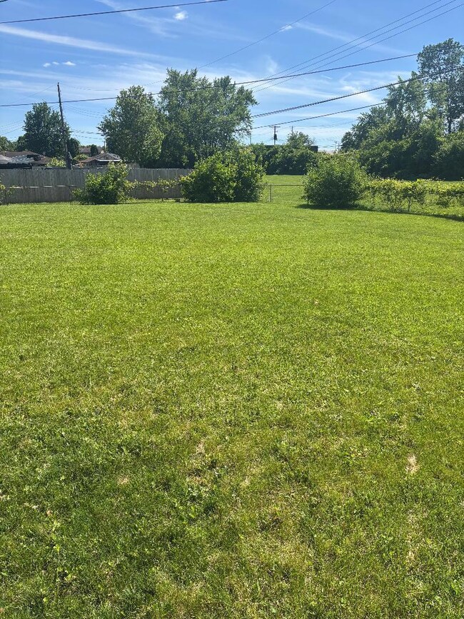 Backyard 1