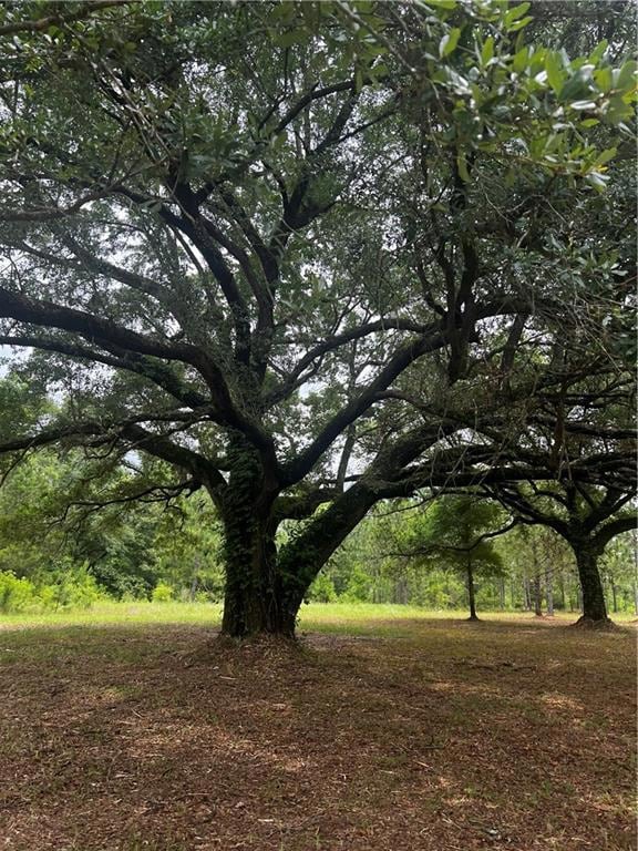 0 Hampton Ridge Ct unit 7685581, Mobile, AL 36608 - photo 2