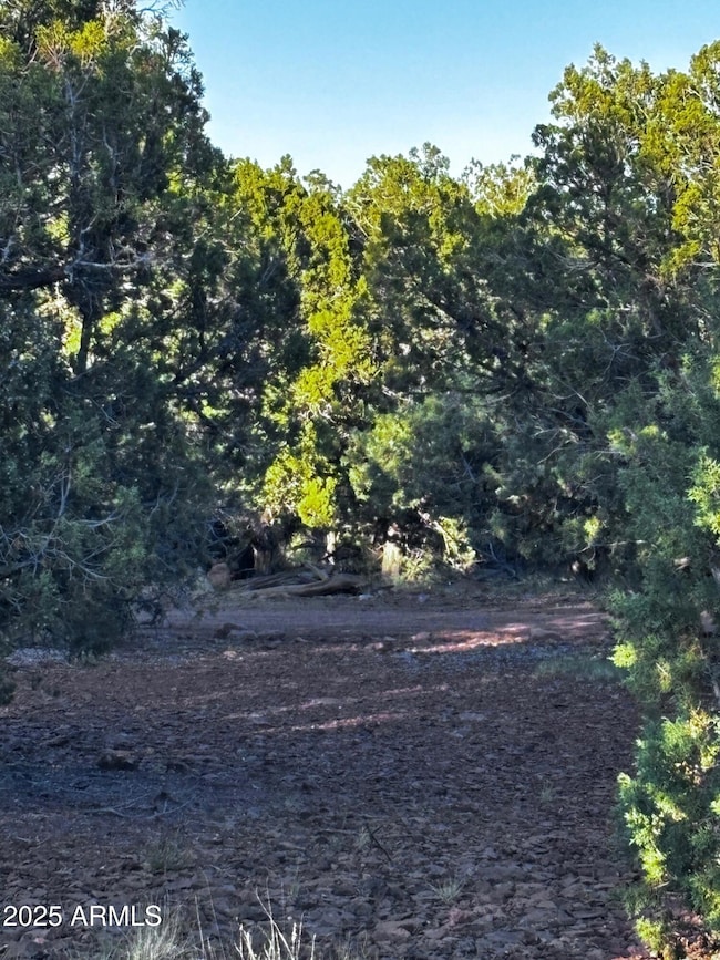 0 N Soaring Hawk Rd unit 498, Seligman, AZ 86337 - photo 5