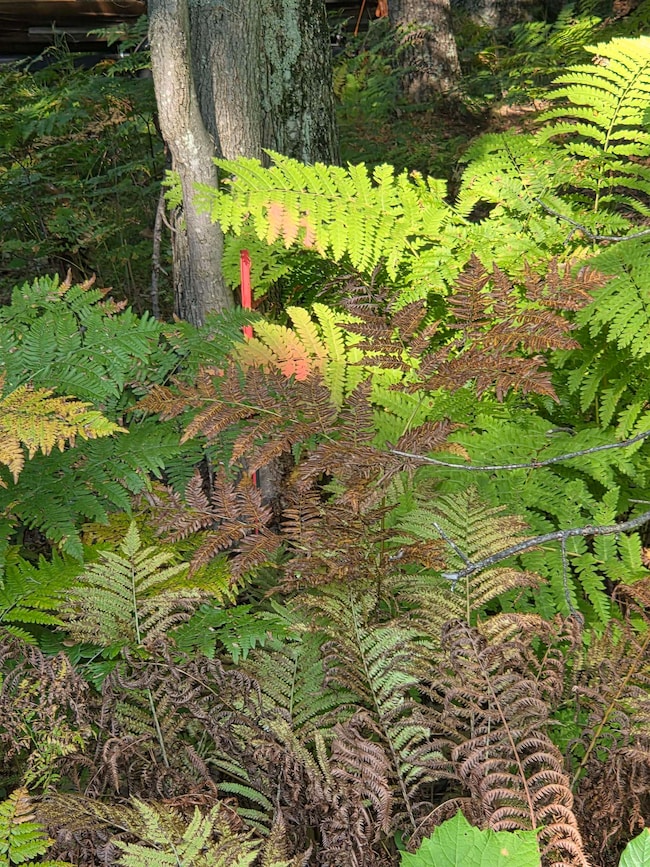 0 Hale Rd unit 50315282, Peshtigo, WI 54157 - photo 3