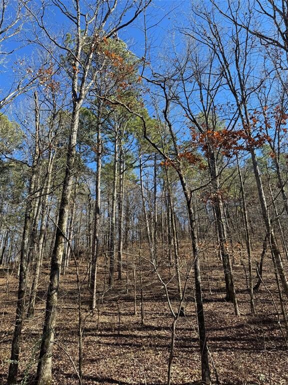 158 Western Maple Trail, Broken Bow, OK 74728 - photo 7