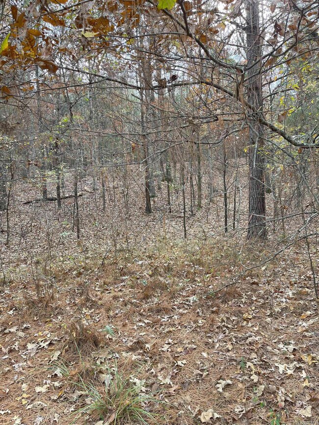 9.57 Acres Greene Road 756, Paragould, AR 72450 - photo 2