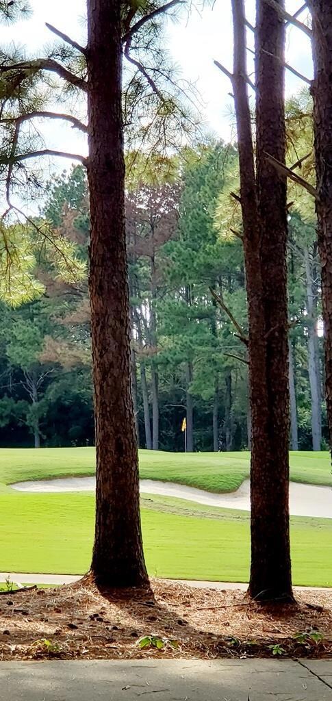 305 Glencoe Way, Dothan, AL 36305 - photo 4