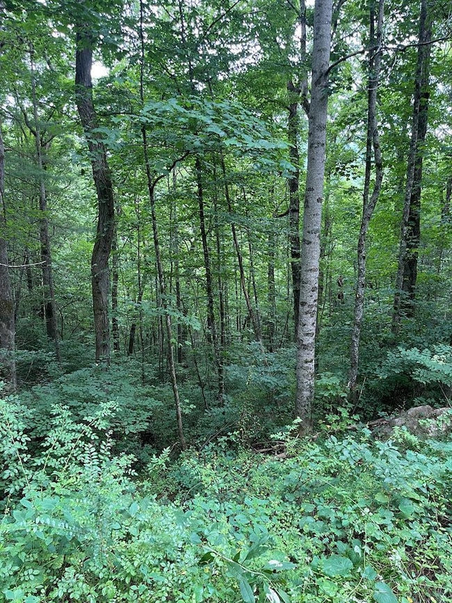 00 Jacobs Mountain Rd, Franklin, NC 28734 - photo 4