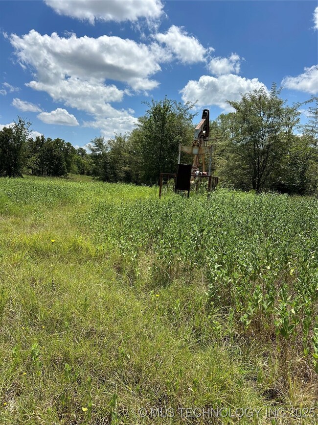 0 Crest St unit 2536071, Wilson, OK 73463 - photo 4