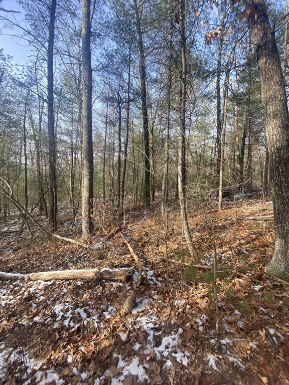 121 & lt12 Sturbridge Rd, Brimfield, MA 01010 - photo 5