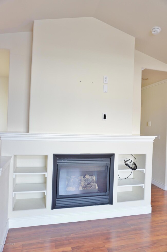 Gas insert fireplace