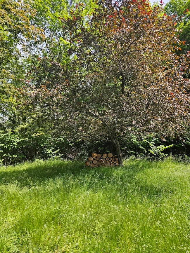 20250617_144952