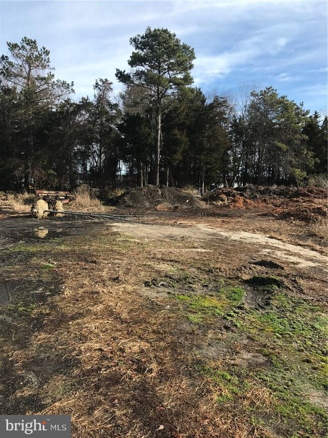 Lot 4.04 Nugentown Rd, Tuckerton, NJ 08087 - photo 6