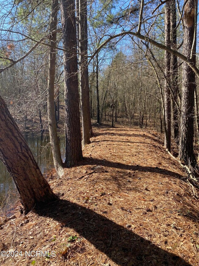 LakeviewDr4