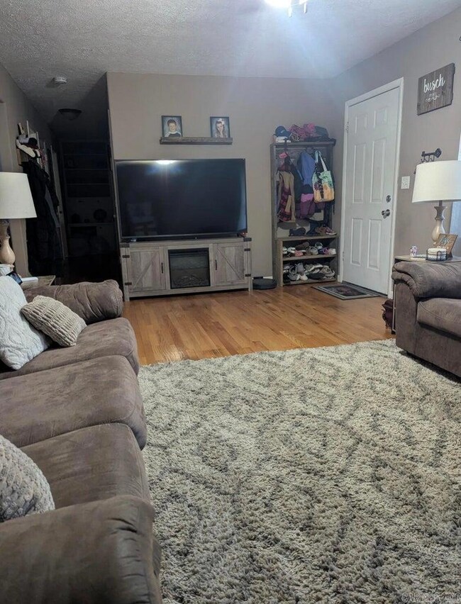 85 Peggy Ave, Mammoth Spring, AR 72554 - photo 4