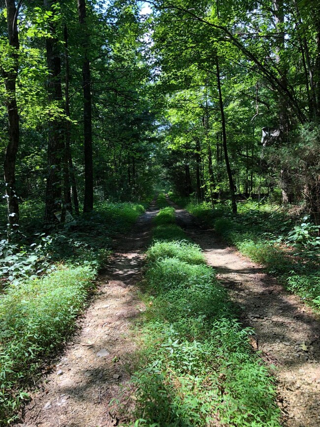 Private Lot