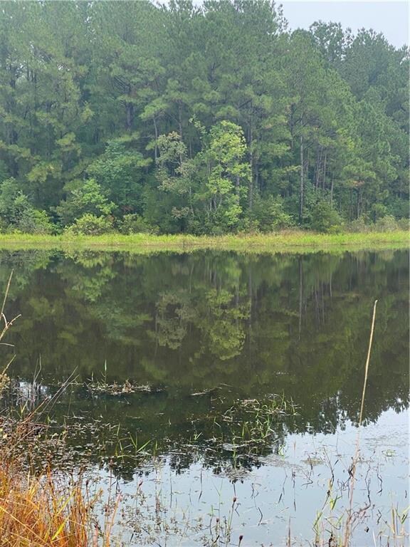 0 Williford Rd unit 163405, Ball, LA 71405 - photo 3