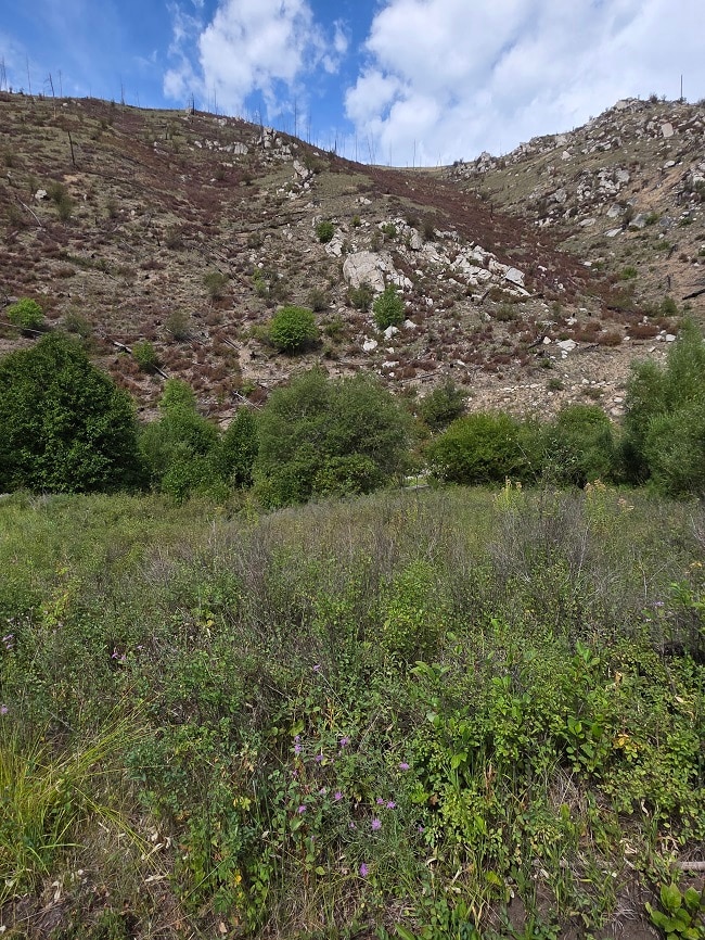 5855 Serenity Ln, Conner, MT 59827 - photo 6