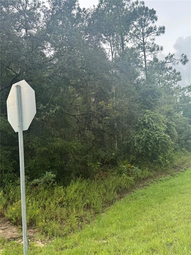 0 Southeast Ave unit MFRO6338893, Webster, FL 33597 - photo 4