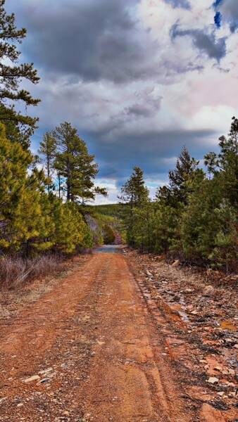 N 4357 Rd. Josee's Journey unit 27, Nashoba, OK 74558 - photo 3
