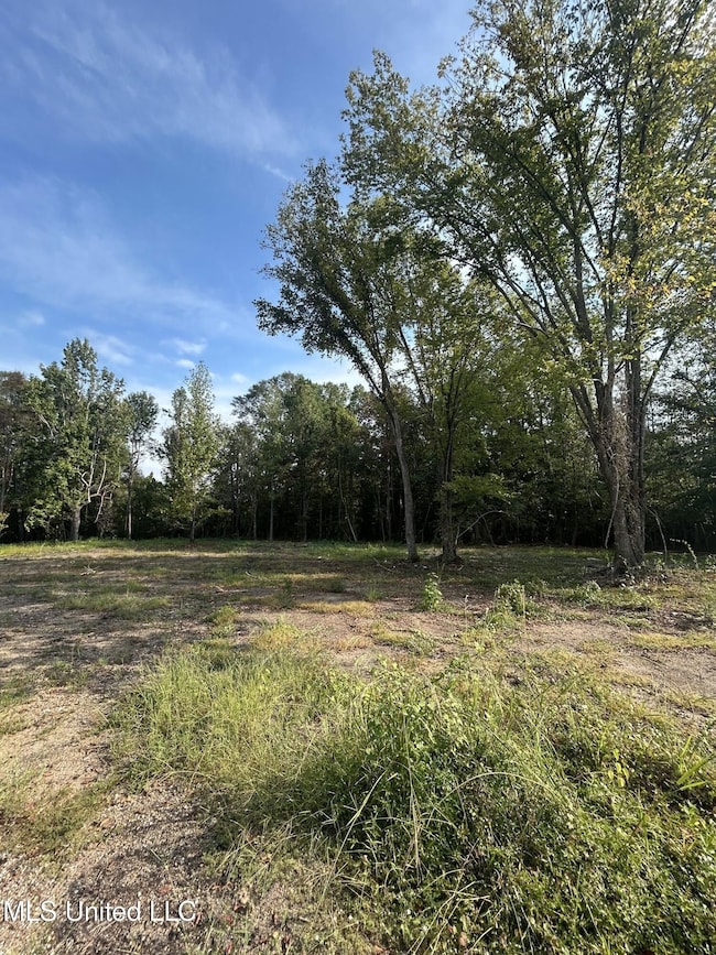 110 W Highway 28 Lot: 5, Harrisville, MS 39082 - photo 7