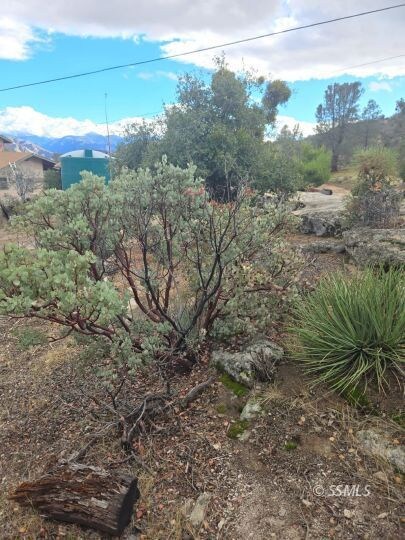 062-241-16 O St, Lake Isabella, CA 93285 - photo 5