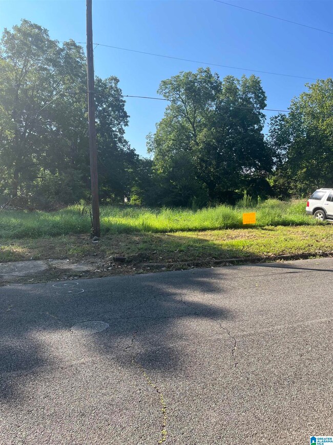 2913 11th Ave N unit 18, Bessemer, AL 35020 - photo 3