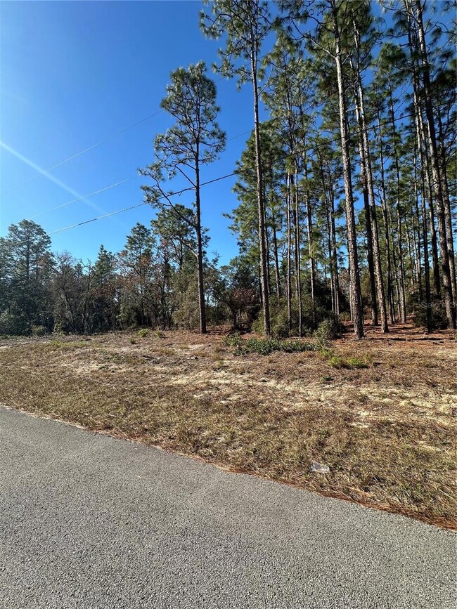 00 SW 209th Ave, Dunnellon, FL 34431 - photo 5