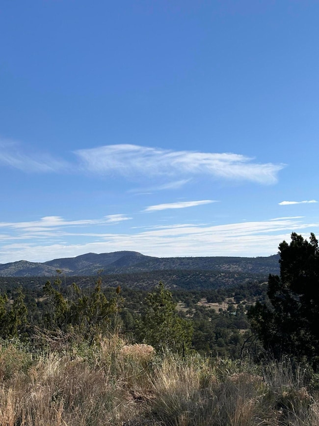 34 Lookout Cir, Datil, NM 87821 - photo 4