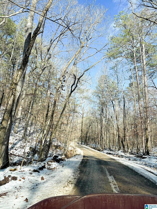 5325 Union T Rd, Talladega, AL 35160 - photo 5