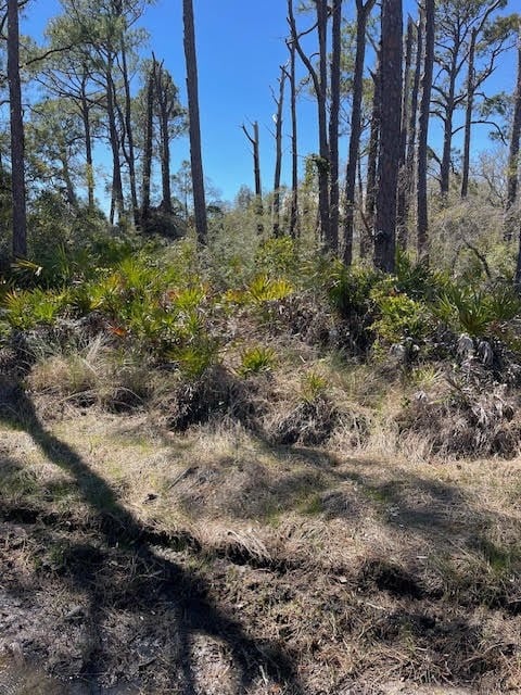 308 Quinn St, St. George Island, FL 32328 - photo 2
