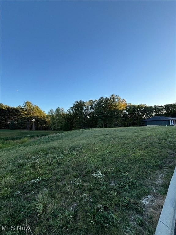View of yard featuring view of wooded area