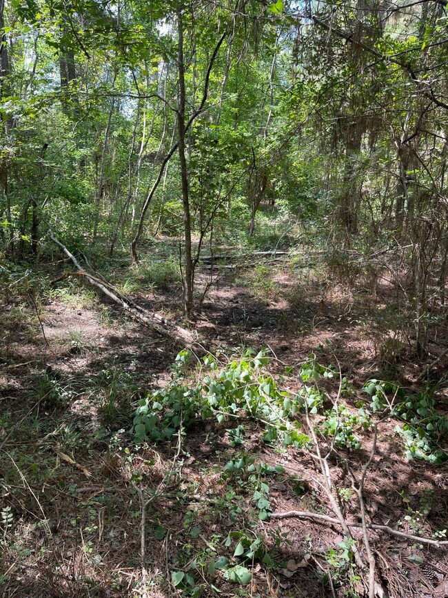 22425 Roberts Cemetery Rd, Hockley, TX 77447 - photo 6