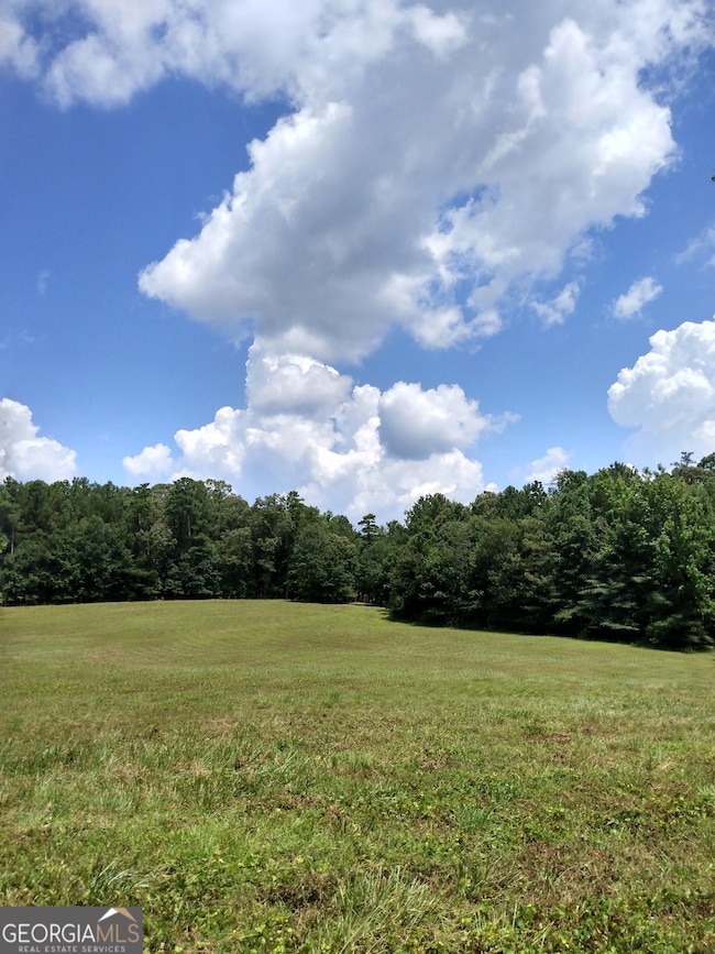 0 Hawkins Academy Rd unit 10561655, Social Circle, GA 30025 - photo 4