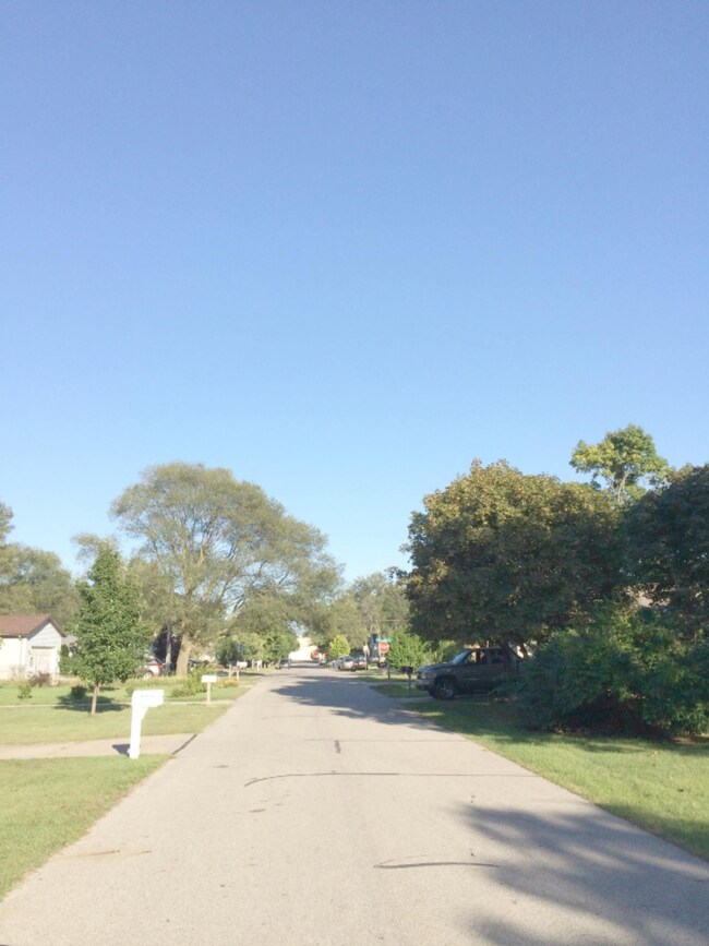 RMD_tree lined street1