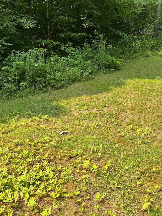 51 Crane View Dr, Salisbury, VT 05769 - photo 6