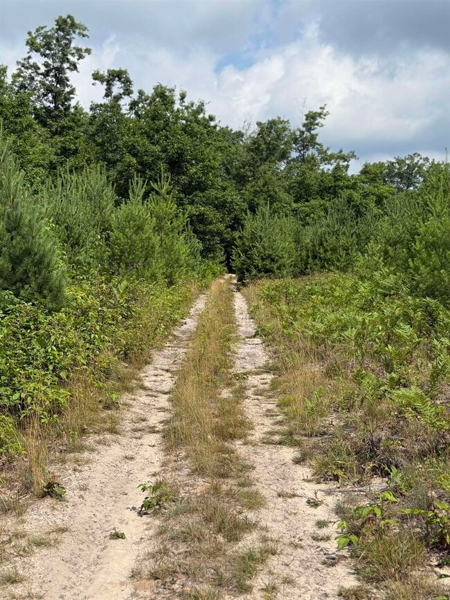 VL 61.11 Acres E Howard Rd, Hay Township, MI 48612 - photo 5