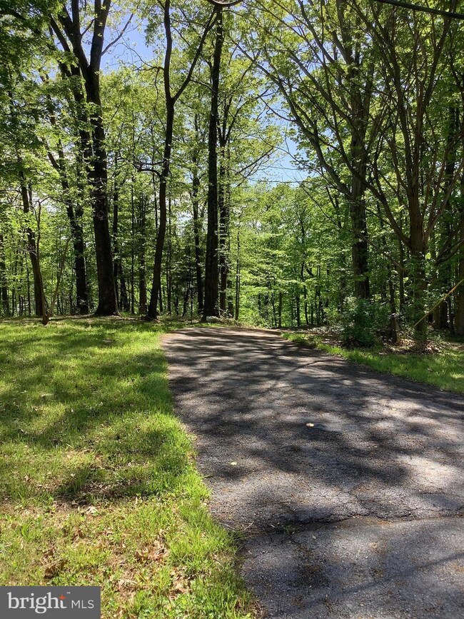 2166 Burnt Mill Rd, Berkeley Springs, WV 25411 - photo 6