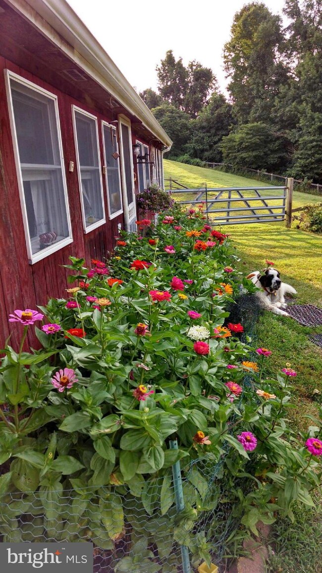 3629 Solomons Island Rd, Harwood, MD 20776 - photo 4