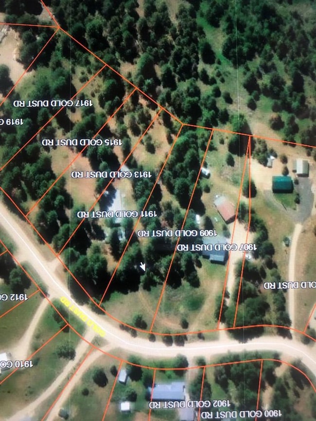 1909 Gold Dust Rd (small white arrow)