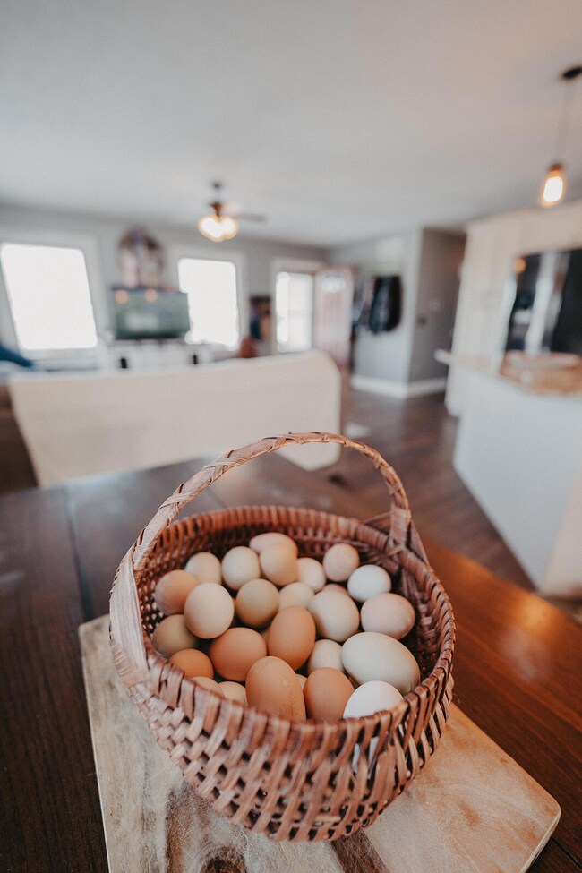 530 Harvey Pike, Harrodsburg, KY 40330 - photo 6