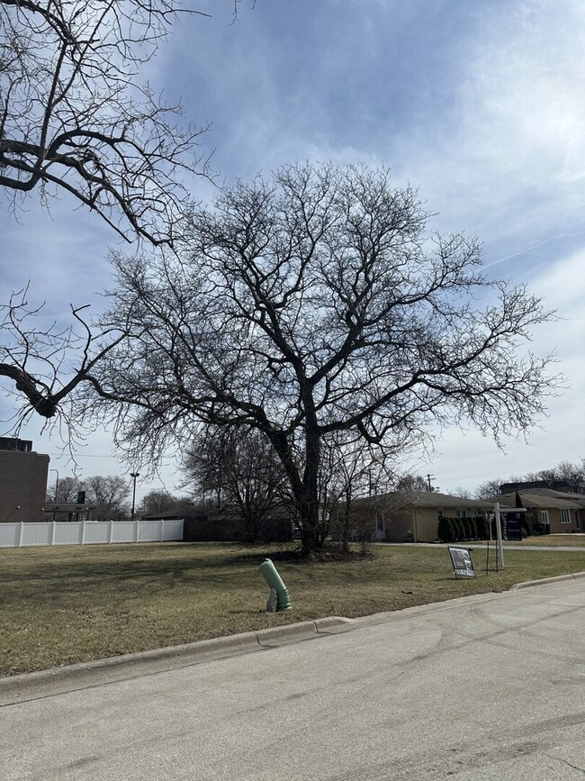 8003 S Oconto Ave, Bridgeview, IL 60455 - photo 2