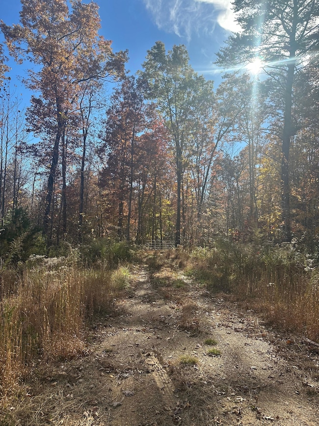 4982 Colony Rd, Gruetli Laagr, TN 37339 - photo 4