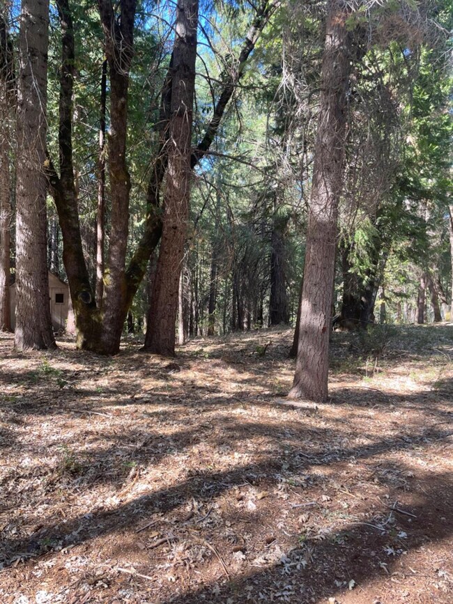 0 Railfence Rd unit 225056391, Alta, CA 95701 - photo 3