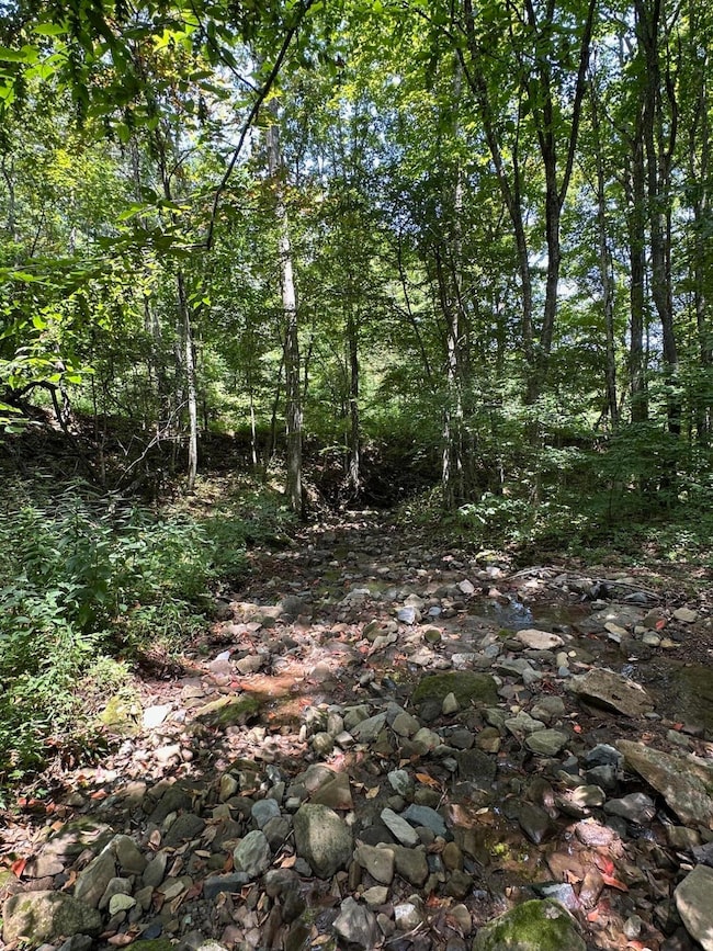 0 Bryant Hollow Rd unit 25-830, Eastern, WV 24910 - photo 4