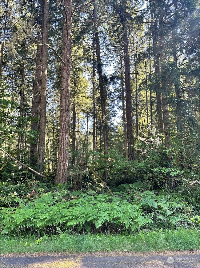 9313 Kootenai Dr, Anderson Island, WA 98303 - photo 2