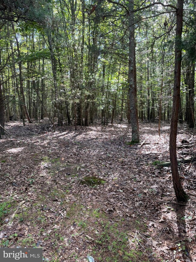 TBD Woods Chapel, New Market, VA 22844 - photo 4