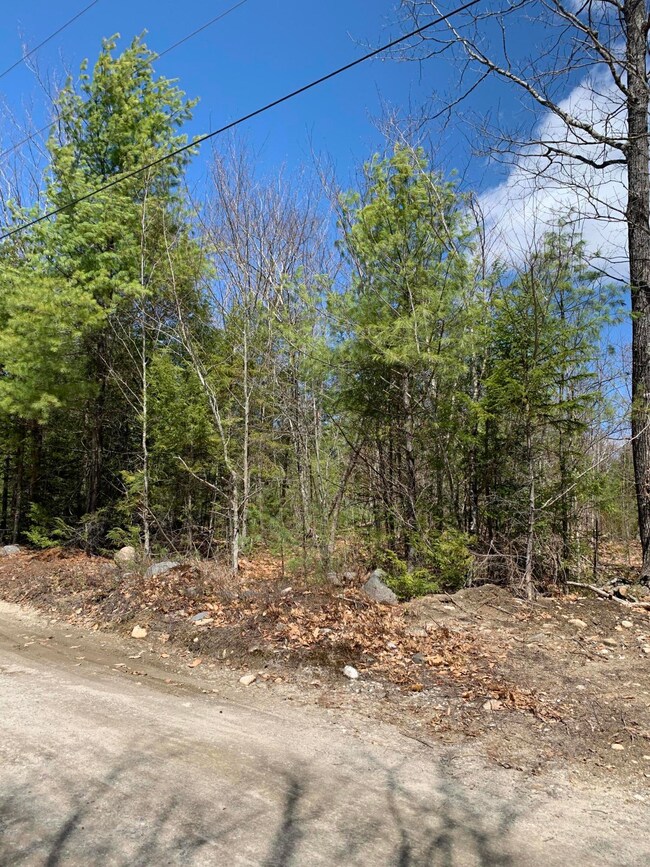 Lot 97B Frost Farm Rd, Bridgton, ME 04009 - photo 3