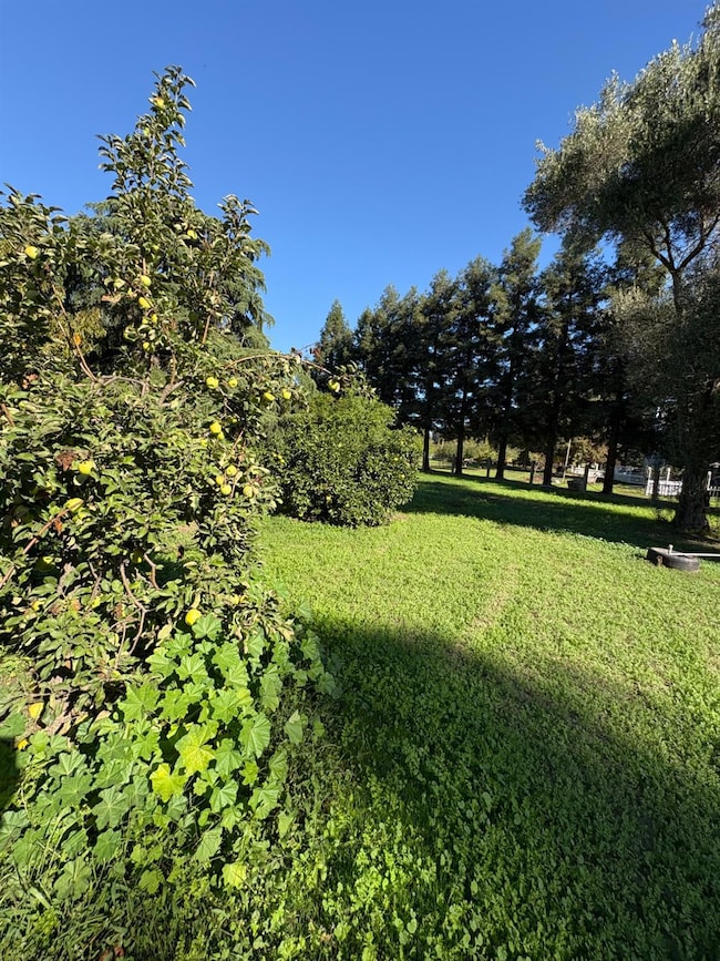 1262 Avalon Dr, Stockton, CA 95215 - photo 6