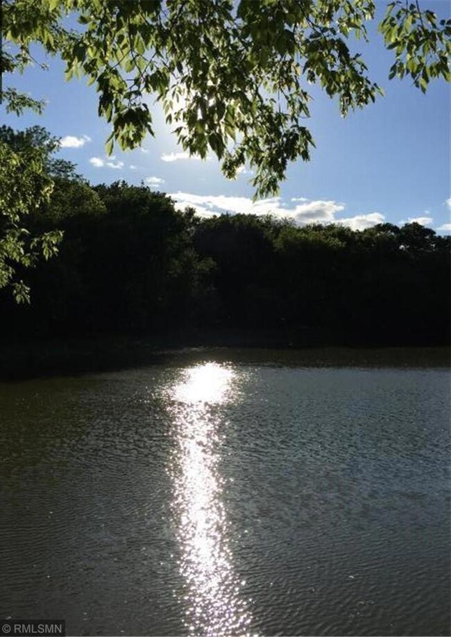 4860 Hamilton Rd, Minnetonka, MN 55345 - photo 5