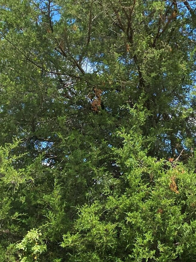 00 Center Point Acres, Walling, TN 38587 - photo 7