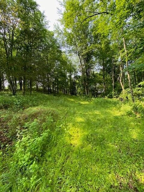 156 Schefflers Rd, Minisink, NY 10998 - photo 6