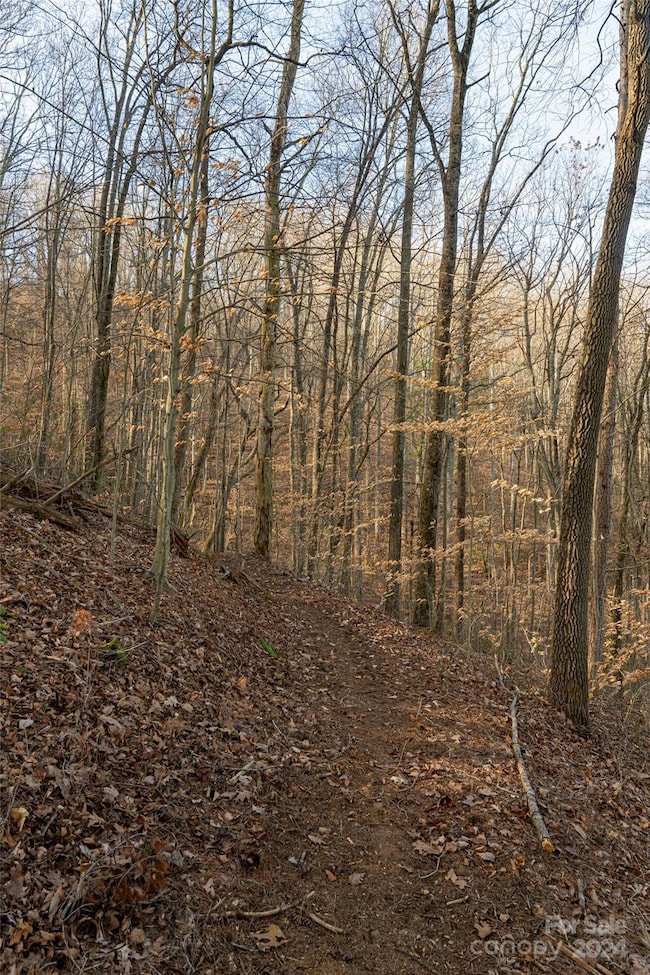 0000 Perrion Ave unit 18, Weaverville, NC 28787 - photo 7